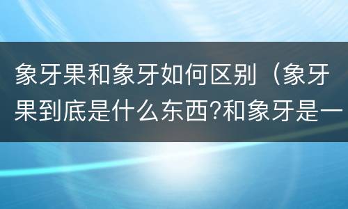 象牙果和象牙如何区别（象牙果到底是什么东西?和象牙是一回事吗?）