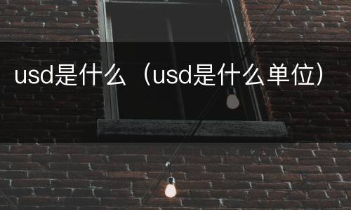 usd是什么（usd是什么单位）