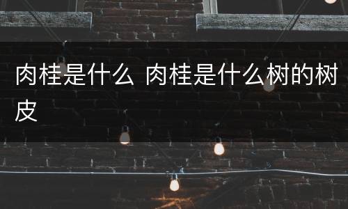 肉桂是什么 肉桂是什么树的树皮