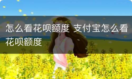 怎么看花呗额度 支付宝怎么看花呗额度