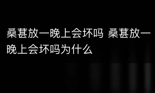 桑葚放一晚上会坏吗 桑葚放一晚上会坏吗为什么