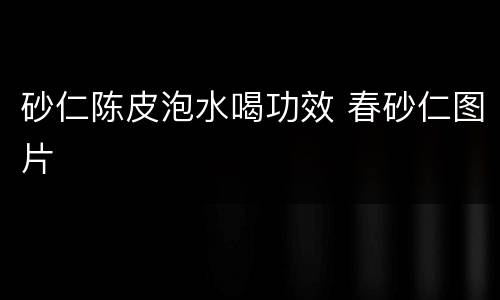 砂仁陈皮泡水喝功效 春砂仁图片
