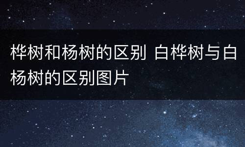 桦树和杨树的区别 白桦树与白杨树的区别图片