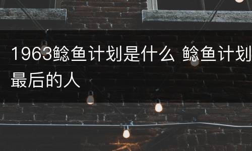 1963鲶鱼计划是什么 鲶鱼计划最后的人