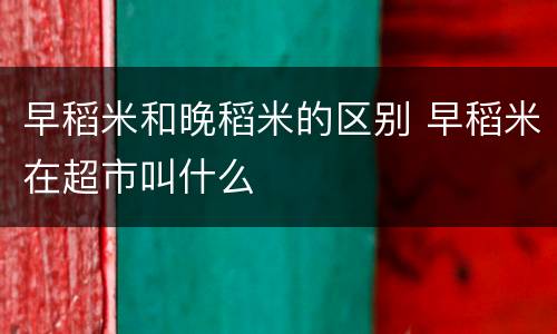早稻米和晚稻米的区别 早稻米在超市叫什么