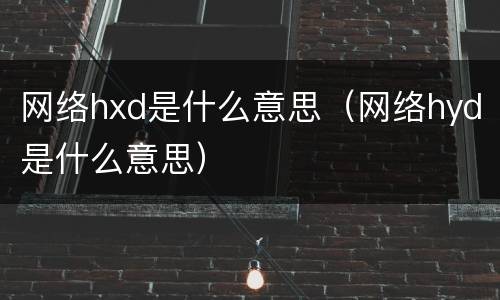 网络hxd是什么意思（网络hyd是什么意思）