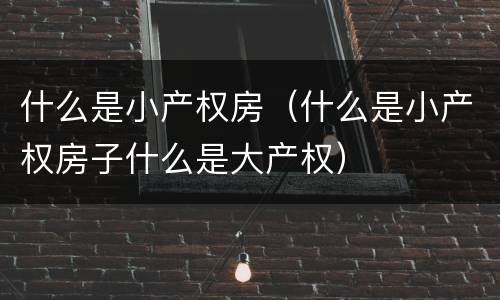 什么是小产权房（什么是小产权房子什么是大产权）