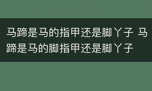 马蹄是马的指甲还是脚丫子 马蹄是马的脚指甲还是脚丫子