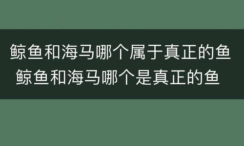 鲸鱼和海马哪个属于真正的鱼 鲸鱼和海马哪个是真正的鱼