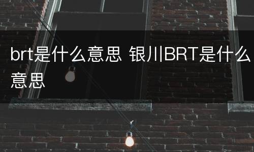 brt是什么意思 银川BRT是什么意思