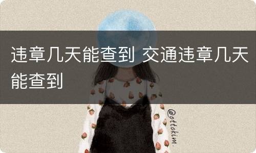 违章几天能查到 交通违章几天能查到