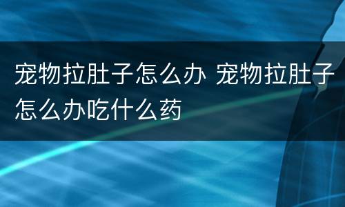 宠物拉肚子怎么办 宠物拉肚子怎么办吃什么药