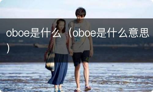 oboe是什么（oboe是什么意思）