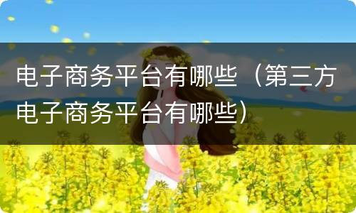 电子商务平台有哪些（第三方电子商务平台有哪些）