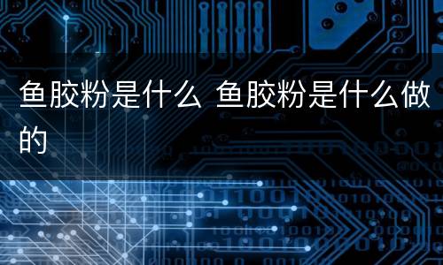 鱼胶粉是什么 鱼胶粉是什么做的