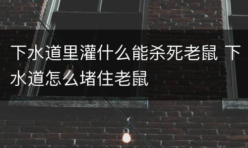 下水道里灌什么能杀死老鼠 下水道怎么堵住老鼠