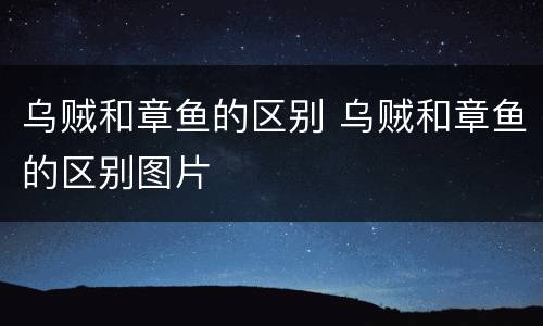 乌贼和章鱼的区别 乌贼和章鱼的区别图片