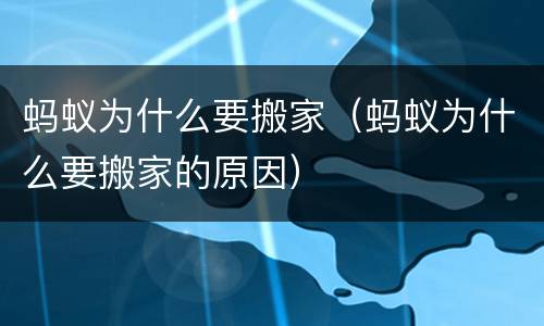 蚂蚁为什么要搬家（蚂蚁为什么要搬家的原因）