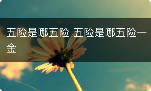 五险是哪五险 五险是哪五险一金