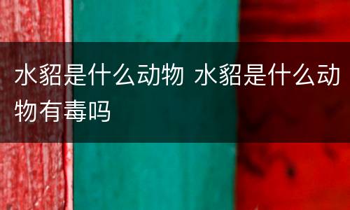 水貂是什么动物 水貂是什么动物有毒吗