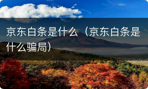 京东白条是什么（京东白条是什么骗局）