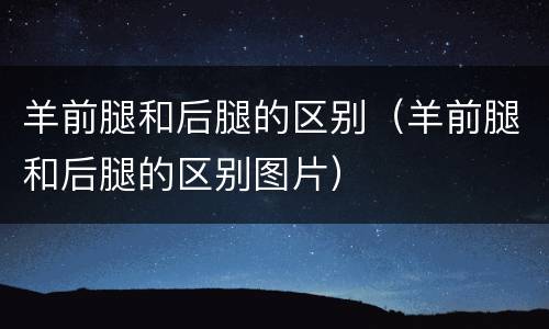 羊前腿和后腿的区别（羊前腿和后腿的区别图片）