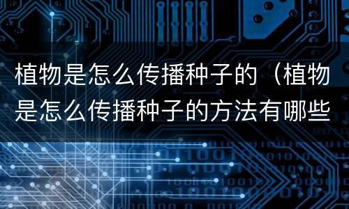 植物是怎么传播种子的（植物是怎么传播种子的方法有哪些）