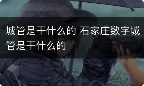 城管是干什么的 石家庄数字城管是干什么的