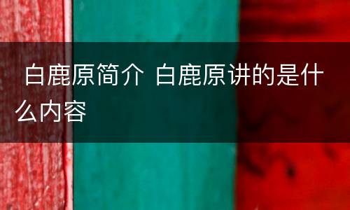  白鹿原简介 白鹿原讲的是什么内容