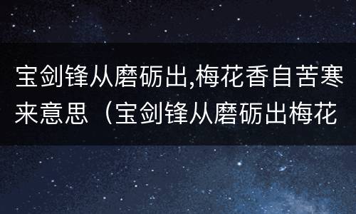 宝剑锋从磨砺出,梅花香自苦寒来意思（宝剑锋从磨砺出梅花香自苦寒来意思相近的诗）