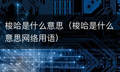 梭哈是什么意思（梭哈是什么意思网络用语）