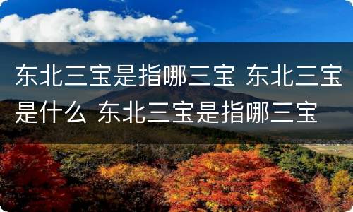 东北三宝是指哪三宝 东北三宝是什么 东北三宝是指哪三宝