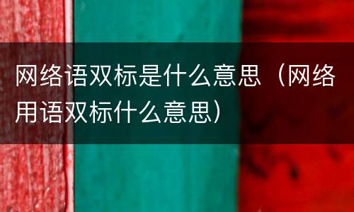 网络语双标是什么意思（网络用语双标什么意思）