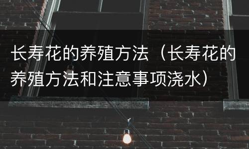 长寿花的养殖方法（长寿花的养殖方法和注意事项浇水）
