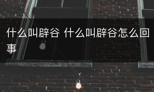 什么叫辟谷 什么叫辟谷怎么回事