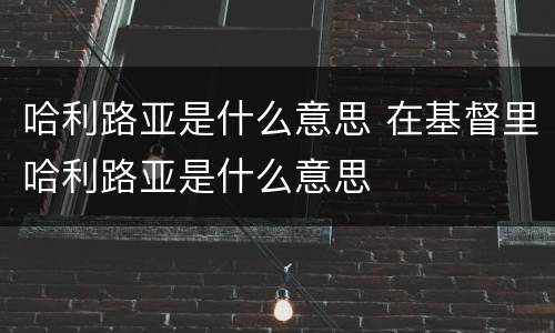 哈利路亚是什么意思 在基督里哈利路亚是什么意思