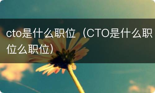 cto是什么职位（CTO是什么职位么职位）