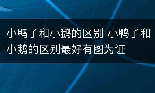 小鸭子和小鹅的区别 小鸭子和小鹅的区别最好有图为证
