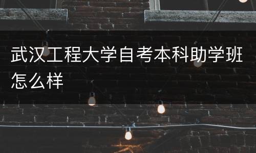 武汉工程大学自考本科助学班怎么样