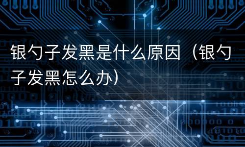 银勺子发黑是什么原因（银勺子发黑怎么办）