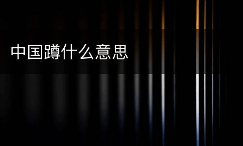 中国蹲什么意思