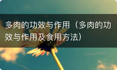 多肉的功效与作用（多肉的功效与作用及食用方法）