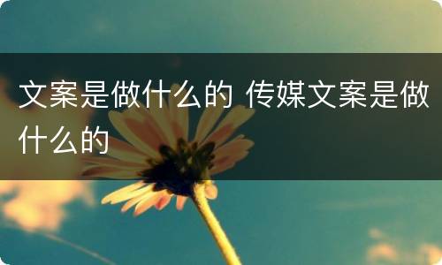 文案是做什么的 传媒文案是做什么的