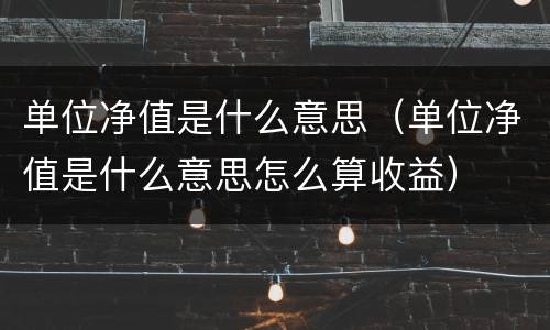 单位净值是什么意思（单位净值是什么意思怎么算收益）