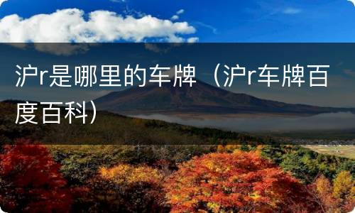沪r是哪里的车牌（沪r车牌百度百科）
