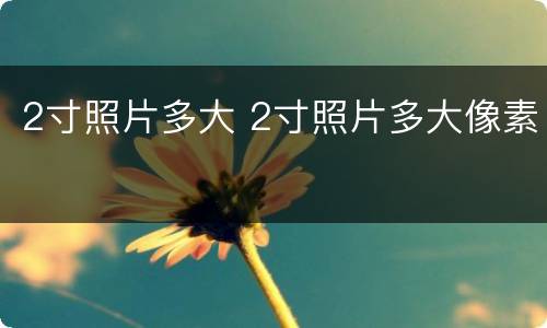 2寸照片多大 2寸照片多大像素