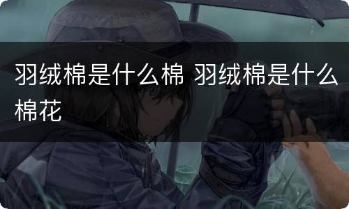 羽绒棉是什么棉 羽绒棉是什么棉花