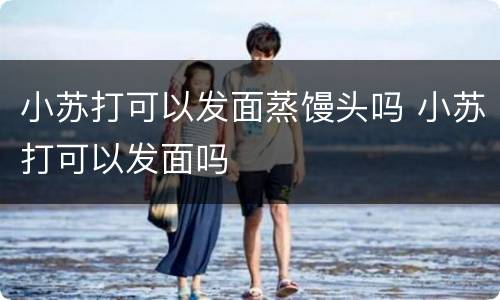 小苏打可以发面蒸馒头吗 小苏打可以发面吗