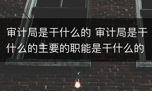 审计局是干什么的 审计局是干什么的主要的职能是干什么的