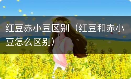 红豆赤小豆区别（红豆和赤小豆怎么区别）